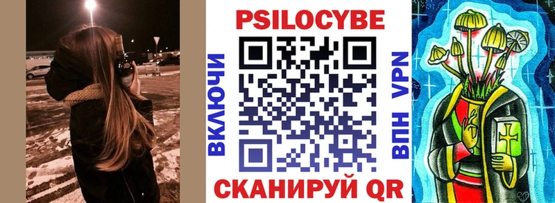 OMG   где можно купить   Елабуга  Псилоцибиновые грибы Psilocybe 
